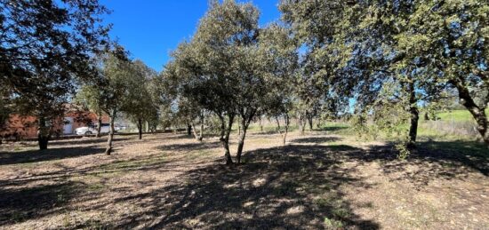 Terrain à bâtir à , Var