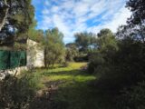  2636810-11723annonce220260916qfn89.jpeg Maisons Open