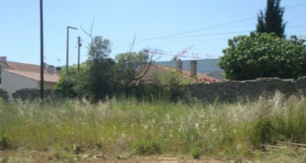 Hyères Terrain à bâtir - 2657678-11080annonce320261001JpuRz.jpeg Maisons Open