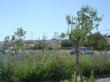  2657678-11080annonce420261001tLO1H.jpeg Maisons Open