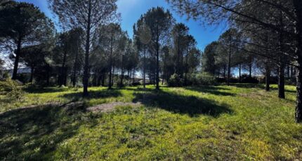 Roquebrune-sur-Argens Terrain à bâtir - 2577148-3701annonce120260707vCTKX.jpeg Maisons Open