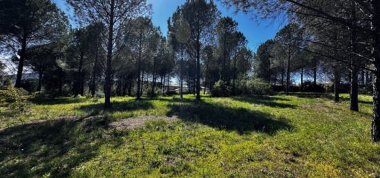Terrain à bâtir à Roquebrune-sur-Argens, Provence-Alpes-Côte d'Azur
