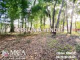  2657994-11784annonce120261001q14wh.jpeg Maisons Open
