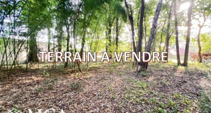 Saint-Augustin Terrain à bâtir - 2657994-11784annonce120261001q14wh.jpeg Maisons Open