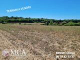  2592119-11784annonce220260728zVkTX.jpeg Maisons Open