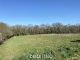  2565418-11876annonce120260625BIFiR.jpeg Maisons Open