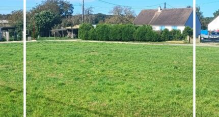Villeneuve-sur-Cher Terrain à bâtir - 2612885-11209annonce12026041744hTX.jpeg Maisons Open
