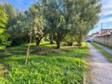  2657752-7050annonce220261001N0zHn.jpeg Maisons Open