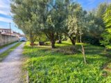  2657752-7050annonce320261001Z2Rus.jpeg Maisons Open