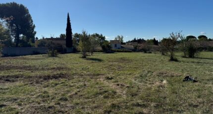 Caumont-sur-Durance Terrain à bâtir - 2658942-617annonce1202510240yzTN.jpeg Maisons Open