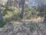  2659136-3969annonce320261001iD9Sl.jpeg Maisons Open