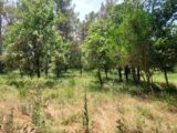  2659217-11137annonce320261001AfrGc.jpeg Maisons Open