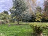  2658876-10686annonce120251024qwdDg.jpeg Maisons Open