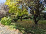  2658861-10686annonce120251028G1DiH.jpeg Maisons Open