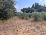  2613312-609annonce3202609014bdBX.jpeg Maisons Open