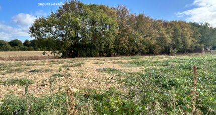 Le Thou Terrain à bâtir - 2644584-9644annonce1202609225mtQf.jpeg Maisons Open