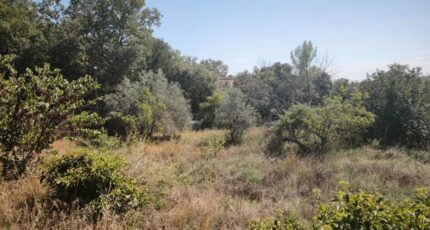 Brignoles Terrain à bâtir - 2659627-11039annonce1202610020f1t8.jpeg Maisons Open