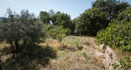 Brignoles Terrain à bâtir - 2659627-11039annonce220261002RttTt.jpeg Maisons Open