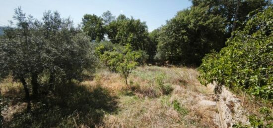Terrain à bâtir à , Var