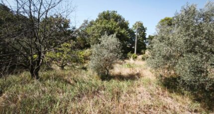 Brignoles Terrain à bâtir - 2659627-11039annonce320261002pSghK.jpeg Maisons Open