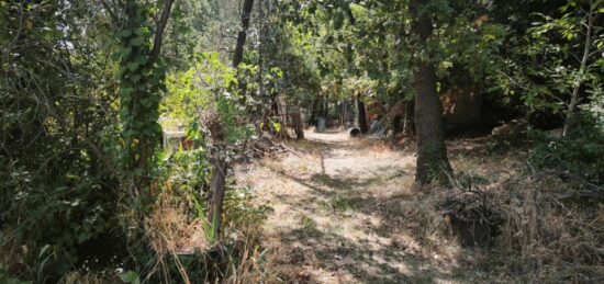 Terrain à bâtir à Brignoles, Provence-Alpes-Côte d'Azur
