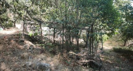 Brignoles Terrain à bâtir - 2659632-11039annonce220261002rdIml.jpeg Maisons Open