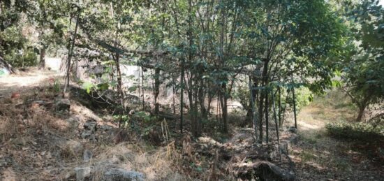 Terrain à bâtir à , Var