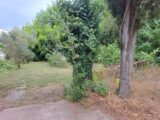 2659669-11041annonce220261002mVORR.jpeg Maisons Open
