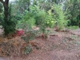  2659669-11041annonce320261002m9u7h.jpeg Maisons Open