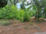  2659669-11041annonce4202610023JdgO.jpeg Maisons Open