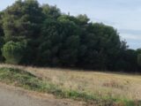  2613749-11018annonce220260116mX5E9.jpeg Maisons Open