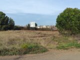  2613754-11018annonce420260116L1LHR.jpeg Maisons Open