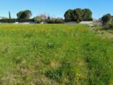  2615831-695annonce2202609028rGRv.jpeg Maisons Open