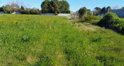 Sorgues Terrain à bâtir - 2615831-695annonce320260902lGLPk.jpeg Maisons Open