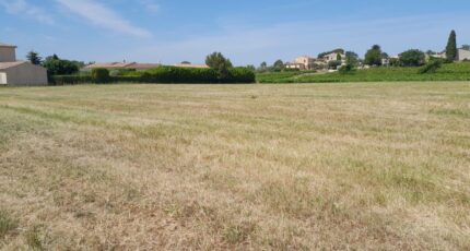 Caumont-sur-Durance Terrain à bâtir - 2615547-695annonce120260902G6SIi.jpeg Maisons Open