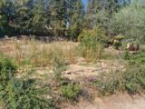  2660699-1836annonce120261002eJdh4.jpeg Maisons Open