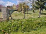  2659652-11958annonce120261002JvNHA.jpeg Maisons Open