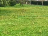  2546093-11516annonce120260612Knw2p.jpeg Maisons Open
