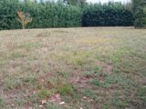  2661607-9455annonce120261003Cx1Qc.jpeg Maisons Open