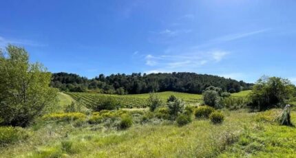 Villeneuve-Minervois Terrain à bâtir - 2553709-10986annonce120260617fgcWL.jpeg Maisons Open