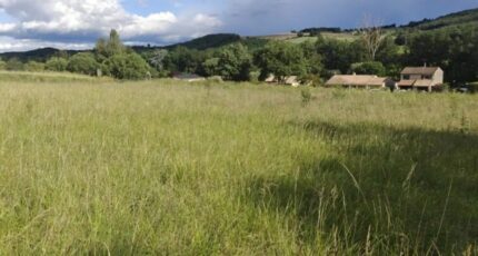 Belvèze-du-Razès Terrain à bâtir - 2557559-10986annonce120260619trXvP.jpeg Maisons Open