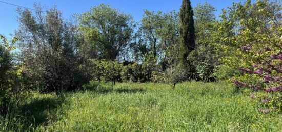 Terrain à bâtir à Trausse, Occitanie