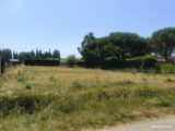  2616658-10986annonce1202609028b9h3.jpeg Maisons Open