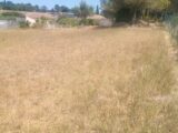  2616844-10986annonce1202609023OAGG.jpeg Maisons Open