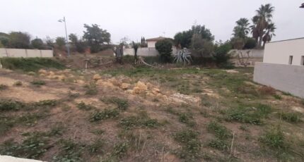 Portiragnes Terrain à bâtir - 2660704-9358annonce120261002Zrks0.jpeg Maisons Open