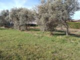  2662474-9917annonce120260323yET2y.jpeg Maisons Open