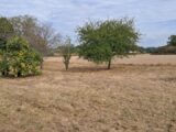  2662485-11959annonce1202610054TIsg.jpeg Maisons Open