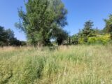  2662660-812annonce120251001mpFcS.jpeg Maisons Open