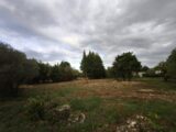  2662738-812annonce420251001iR9S5.jpeg Maisons Open