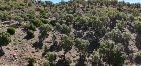 Terrain à bâtir à Sainte-Maxime, Provence-Alpes-Côte d'Azur
